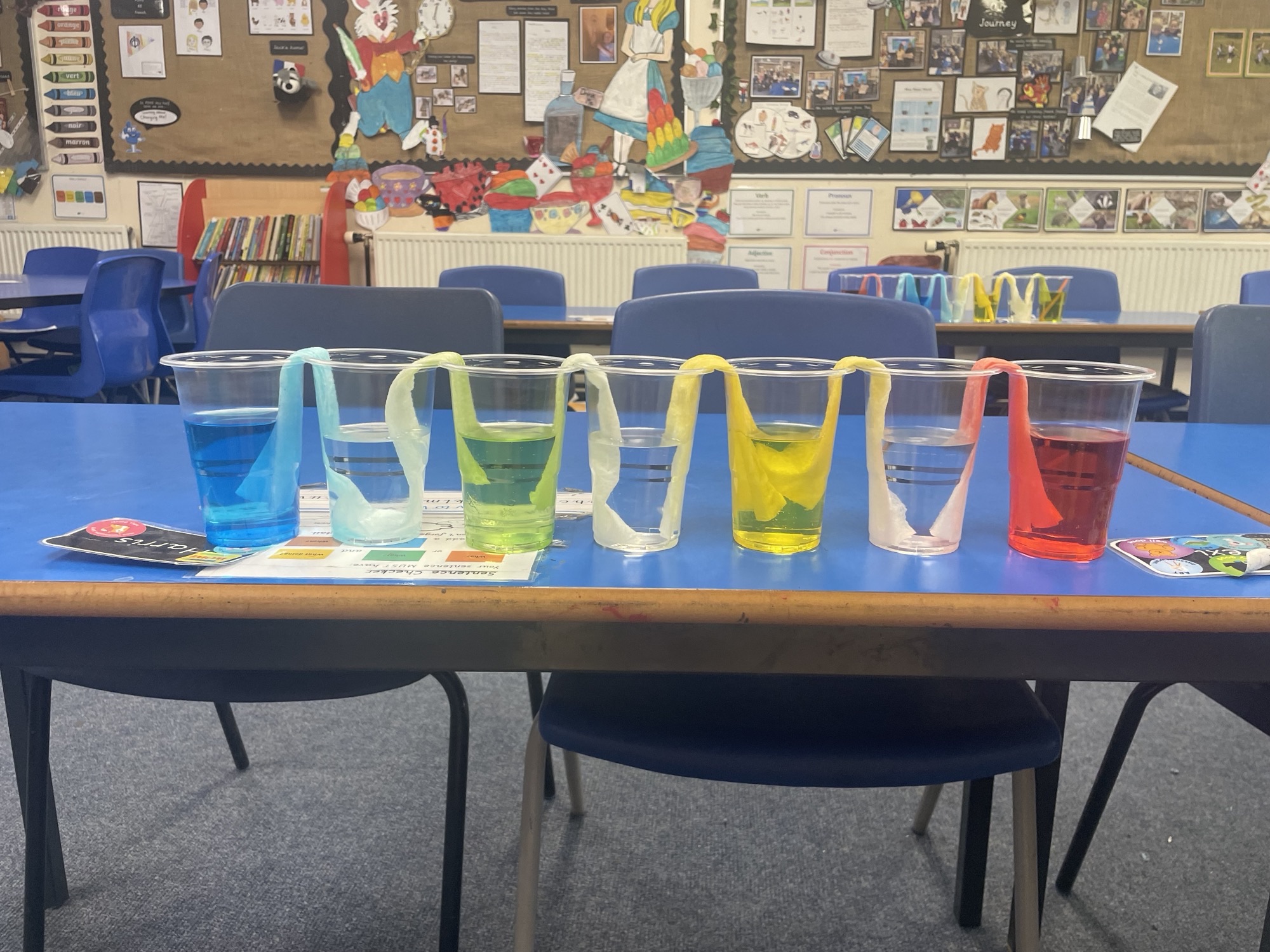 Year 4 - Scientific enquiry