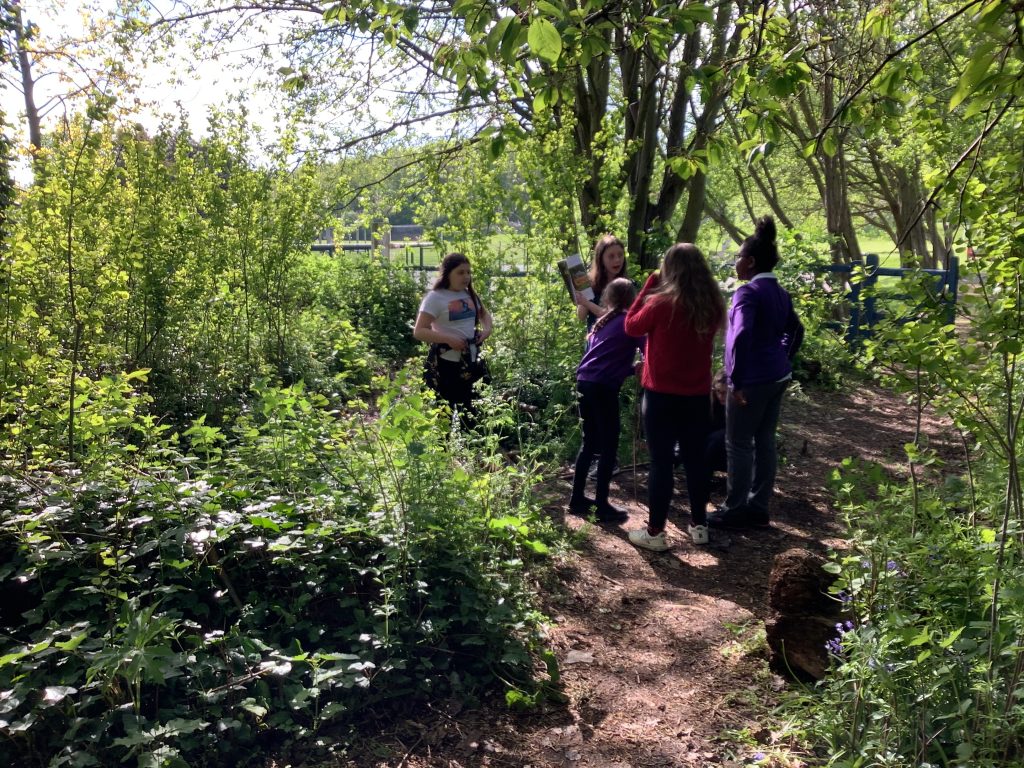 Year 6 - Outdoor Reading and Writing